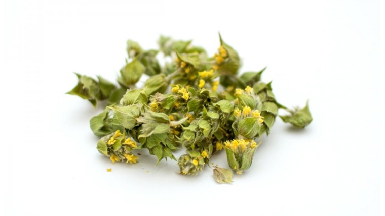 Organic Mountain Tea