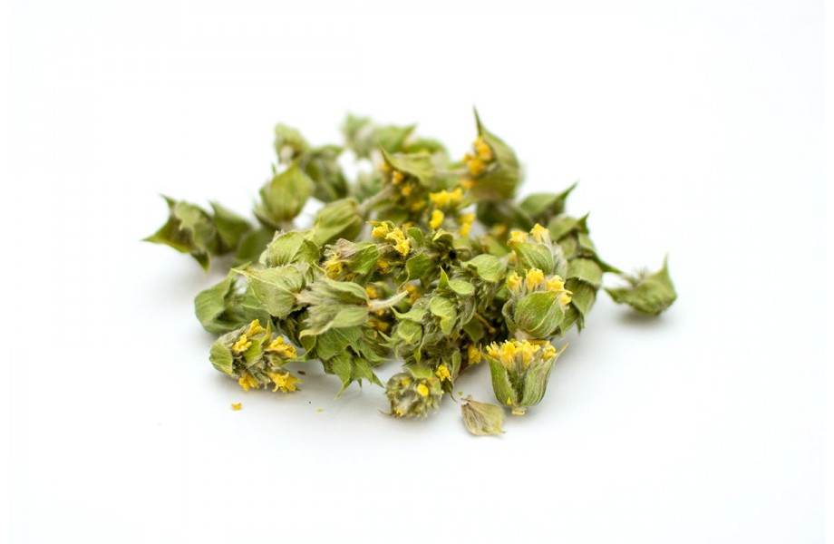 Organic Mountain Tea