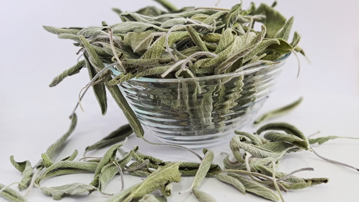 Organic Sage